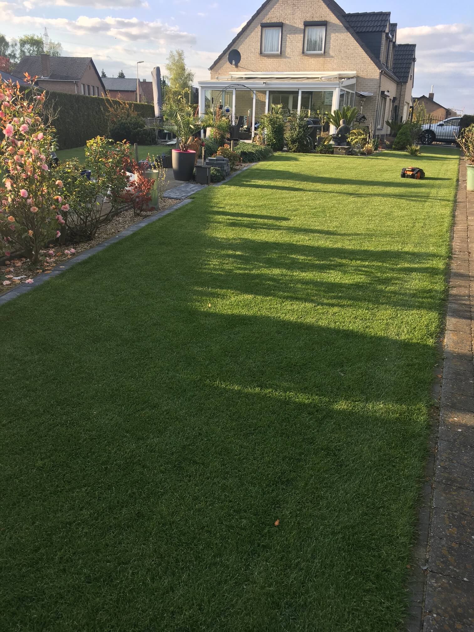 Gazon onderhoud